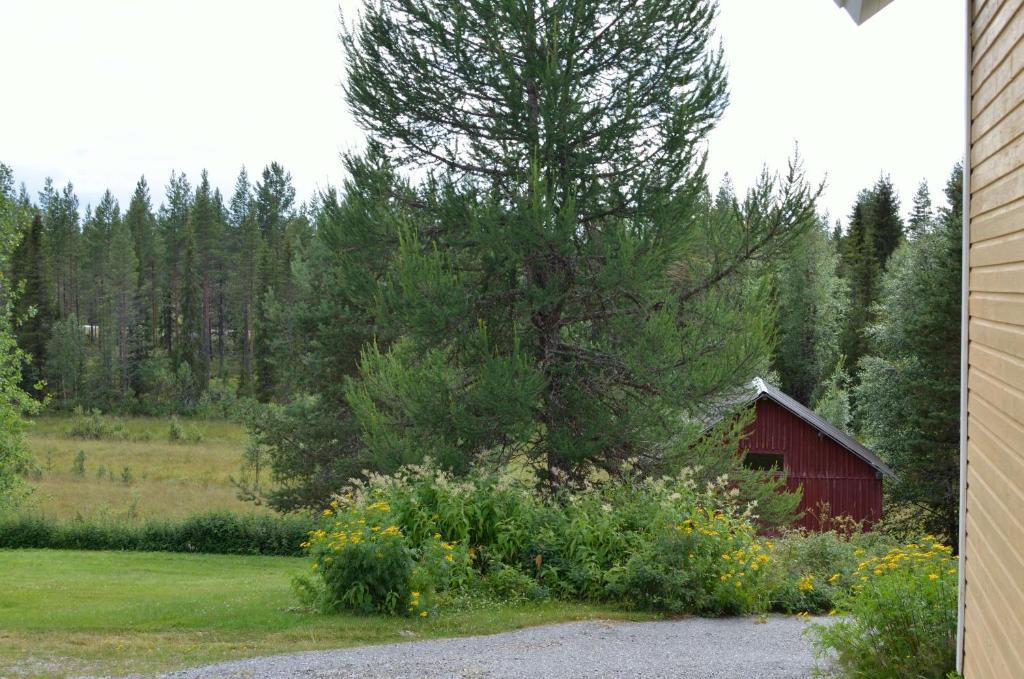 Lämsä Saenkelae Cottage מראה חיצוני תמונה